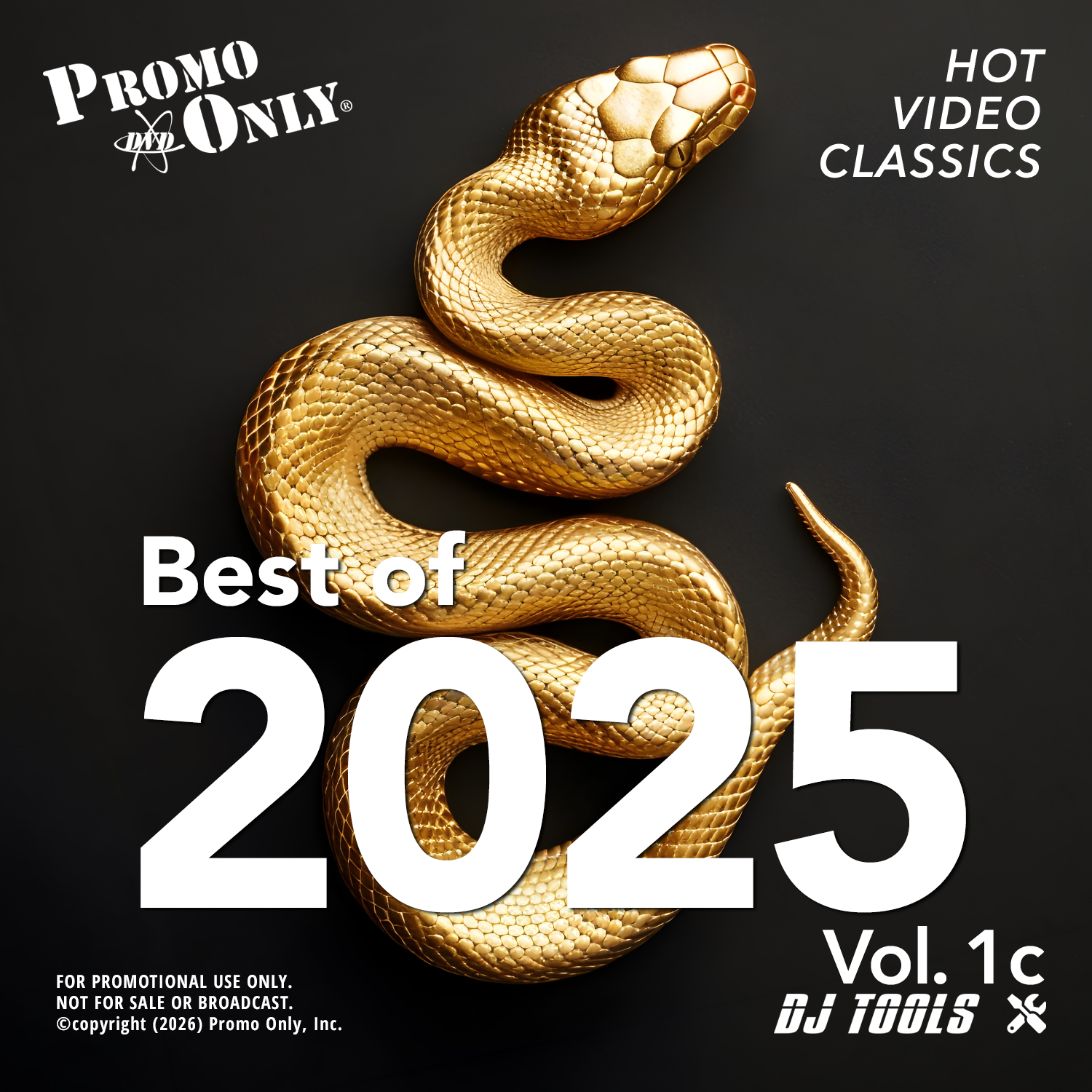 Best of 2025 Vol. 1c