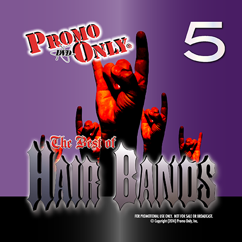 Best of Hair Bands Vol. 5 Album Cover